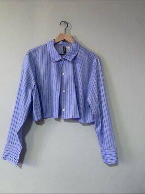 Cropped Blue Striped Button-Up Shirt H&M